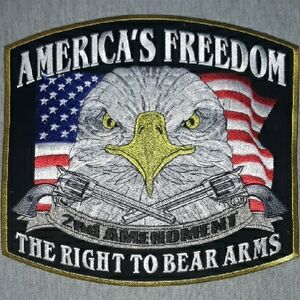 Americas Freedom Iron On Patch
